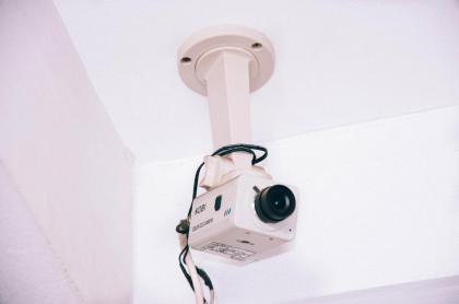 Golden On-nut - image 17