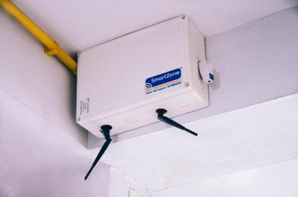 Golden On-nut - image 18