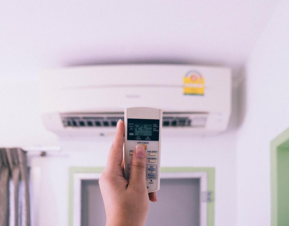 Golden On-nut - image 3