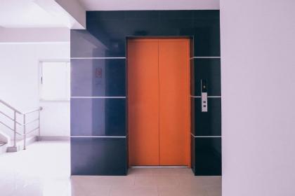 Golden On-nut - image 6