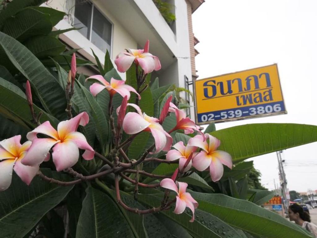 Thanapa Place - main image