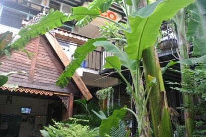 Eco House - image 2