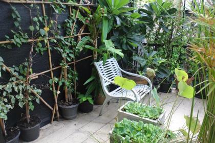 Eco House - image 3