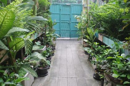 Eco House - image 4