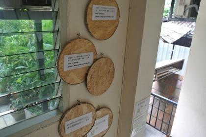 Eco House - image 5