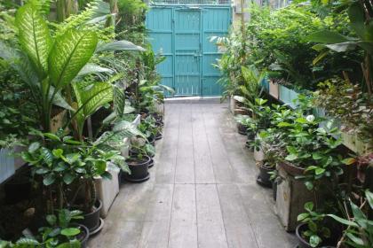 Eco House - image 6