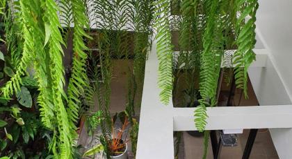Roompini - image 27