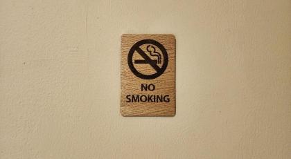 The Travellers House-Pet Friendly Accommodation - image 23